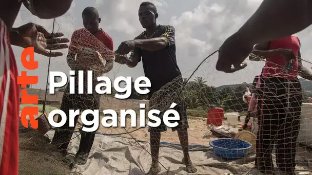 Sénégal : pilleurs des mers | ARTE Reportage