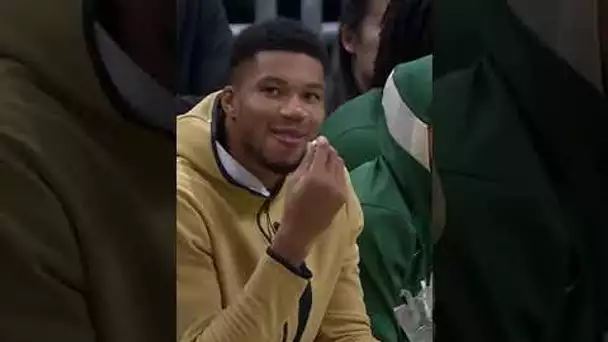 Giannis Just Vibin On The Sidelines 😁🍿 | #Shorts