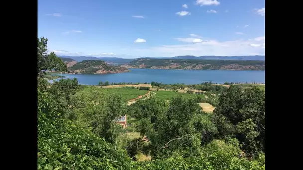 Dans l'Hérault, les forestiers sapeurs protègent les massifs boisés contre les incendies
