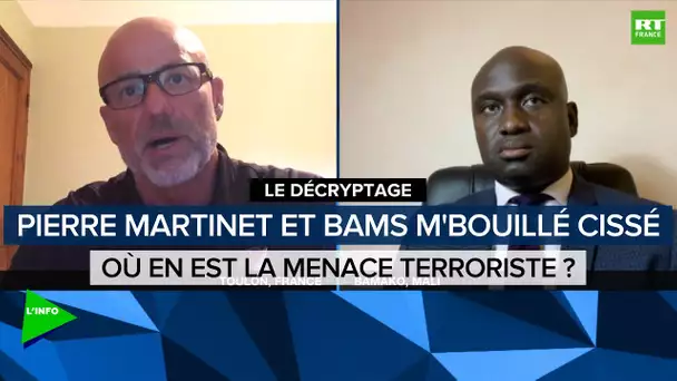 Le décryptage - France, Sahel : où en est la menace terroriste ?