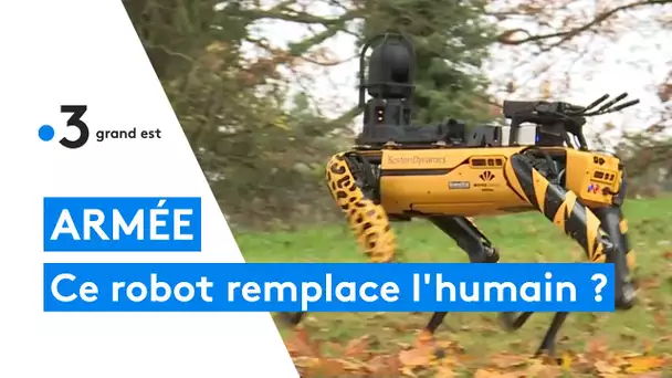 Nancy : un chien-robot pour surveiller la base aérienne 133