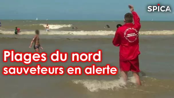 Danger sur plages du nord : les sauveteurs en alerte