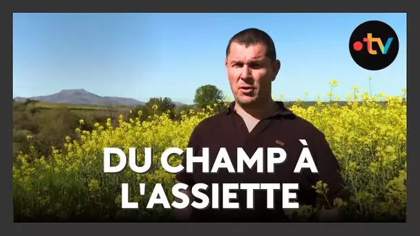 Pays basque : la ferme Aitzina à Larressore, de la terre à l'assiette