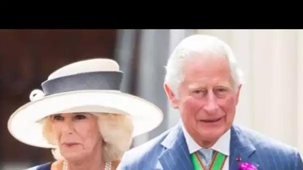 The Crown : ce scandale concernant Charles et Camilla Parker-Bowles qui a été mis de...
