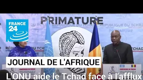 Les Nations unies vont aider le Tchad à faire face à l'afflux de réfugiés soudanais • FRANCE 24