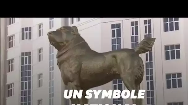 Au Turkménistan, le président inaugure une statue en or géante à l'effigie de son chien fétiche