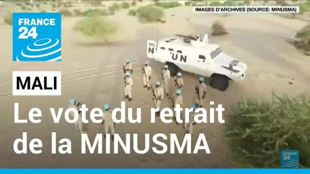 ONU : le retrait de la MINUSMA au Mali soumis au vote du conseil de sécurité • FRANCE 24