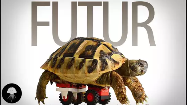 Les animaux à roues du futur - DBY #8