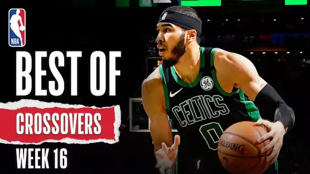 NBA's Best Crossovers | Week 16 | 2019-20 NBA Season