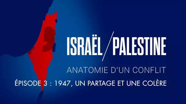 Israël / Palestine : Anatomie d'un conflit - Épisode 3 : 1947, un partage et une colère