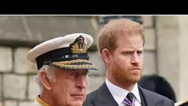 La demande du prince Harry au roi Charles concernant les titres pour les enfants reste non résolue