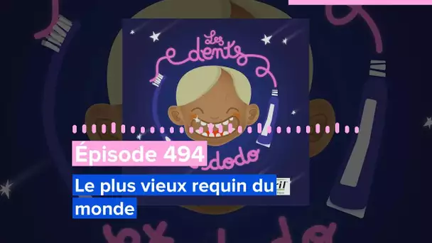 Les dents et dodo - Épisode 494 : Le plus vieux requin du monde