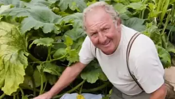 Ce fermier Gallois cultive des légumes géants et sans pesticides !
