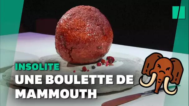 En Australie, une entreprise fabrique des boulettes de viande de mammouth