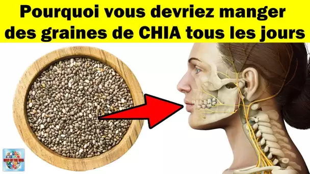 pourquoi vous devriez manger des graines de chia tous les jours et comment les utiliser