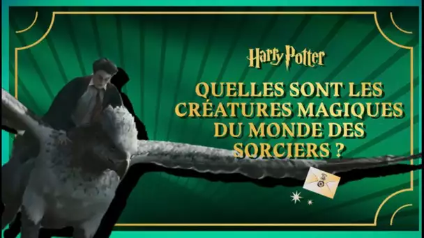 Harry Potter - EP.8 - Quelles sont les créatures magiques du monde des sorciers ?