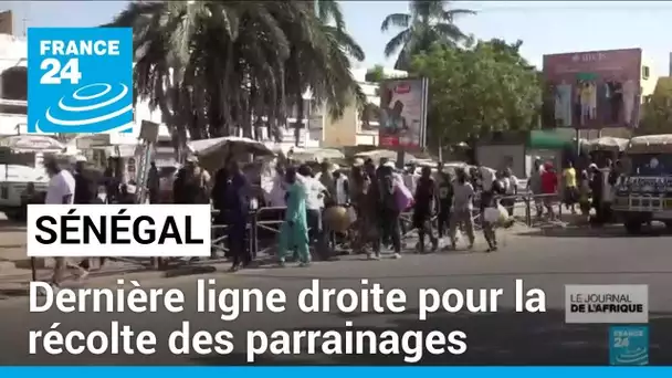 Sénégal : derniers jours de la récolte des parrainages électoraux • FRANCE 24