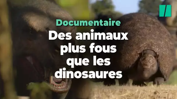 « La vie sur notre planète », un documentaire de Spielberg plus impressionnant que Jurassic Park