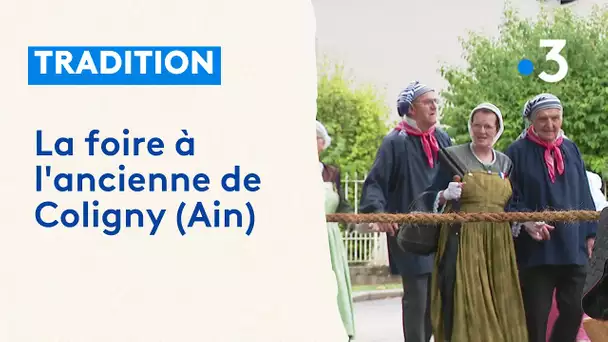 La foire à l'ancienne de Coligny (Ain)