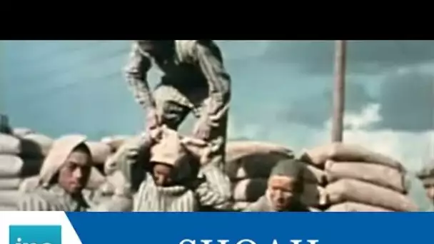 Le Travail forcé dans les camps nazis - Archive INA
