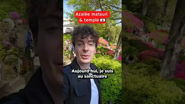 Un matsuri d'azalées à Tokyo 🌺