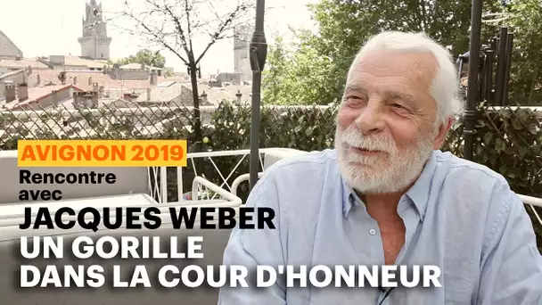 Jacques Weber, un gorille dans la cour d&#039;honneur du Festival d&#039;Avignon