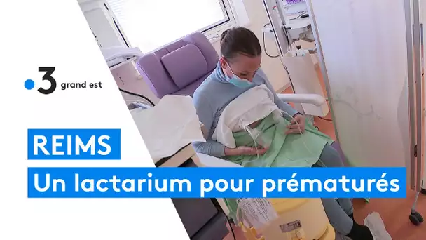 Lactarium de Reims : recueillir le lait maternel pour les bébés prématurés
