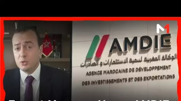 Export Morocco Now-Accompagnement des entreprises: le point sur le rôle de l’AMDIE avec Ali Seddiki