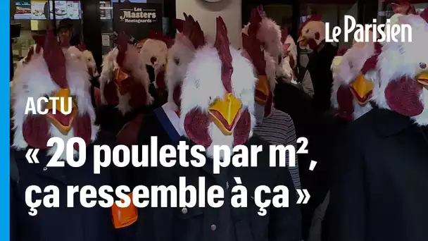 100 militants L214 déguisés en poulets occupent un Burger King à Paris