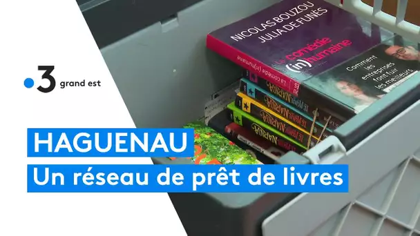 Haguenau : Tilt, un réseau de prêt de livres unique en Alsace