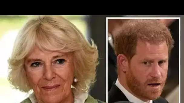 Le prince Harry se souvient du moment où Camilla a transformé sa chambre en son propre dressing