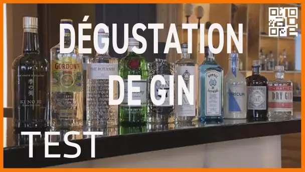 Gins secs: quels sont les meilleurs ? ABE-RTS