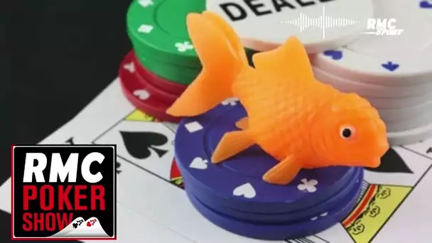 RMC Poker Show : Dans la tête d'un fish du 11 décembre