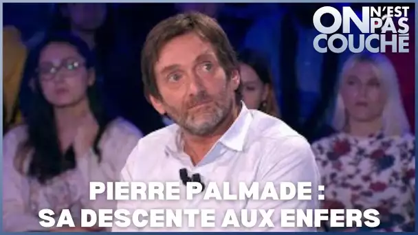 Pierre Palmade - On n&#039;est pas couché 4 mai 2019 #ONPC