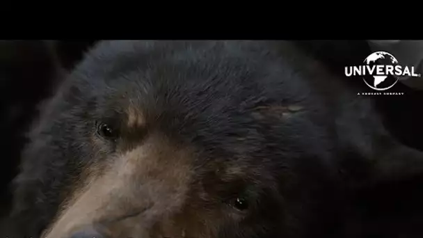 Crazy Bear - Featurette "A Look Inside" VOST [Au cinéma le 15 mars]