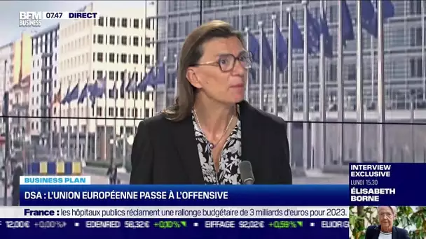 Véronique Reille-Soult (Backbone Consulting) : DSA, l'Union européenne passe à l'offensive