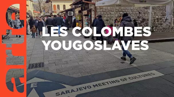 Ex-Yougoslavie : Une réconciliation en vue ? | ARTE Reportage