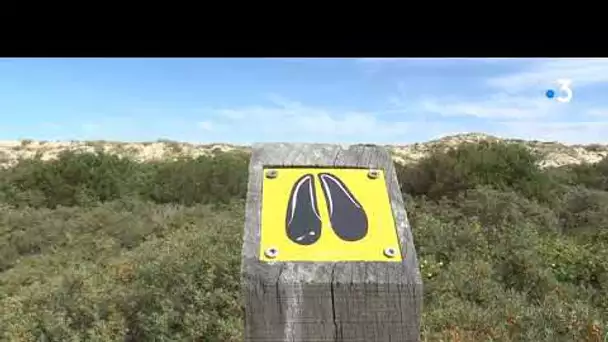 EN BALADE DANS LES DUNES DE MERLIMONT