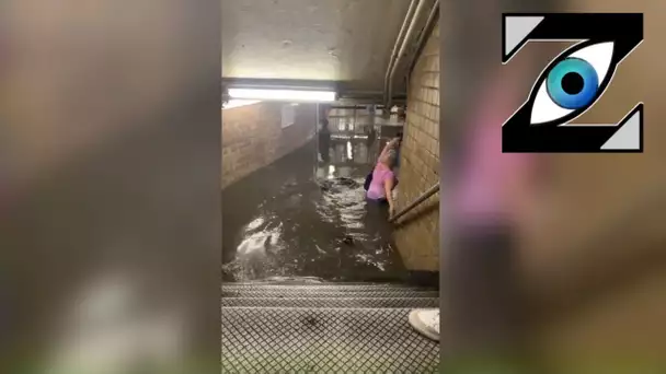 [Zap Net] Usagers du métro de NewYork sous l'eau ! (09/07/21)