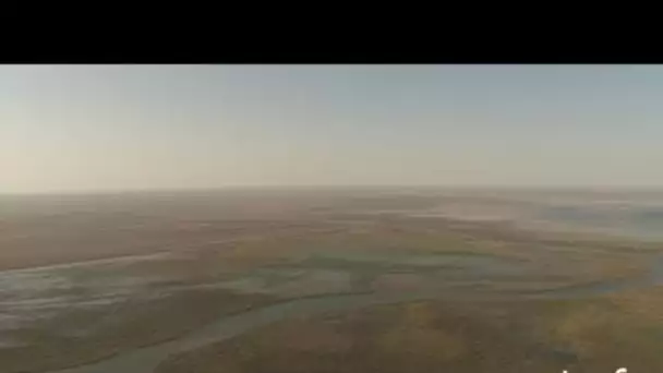 Kazakhstan : anciens canaux, bassins et barrages sur le Syr Daria