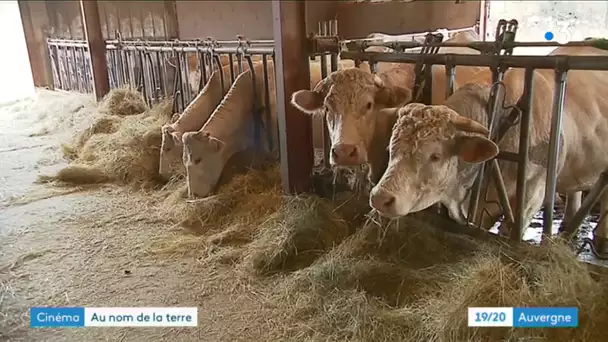 Les agriculteurs d'Auvergne se reconnaissent dans le film "au nom de la terre" d'Edouard Bergeon