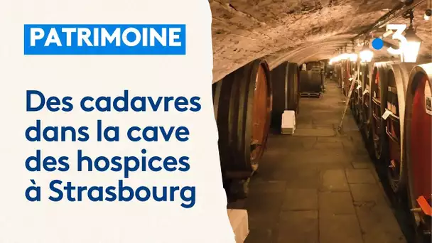 La cave des Hospices de Strasbourg a aussi abrité une salle de dissection