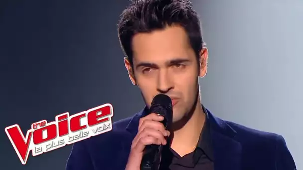 Céline Dion – Vole | Yoann Fréget | The Voice France 2013 | Prime 3