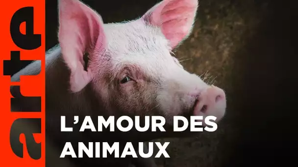 L'amour | Ma guerre des mondes (2/5) | ARTE