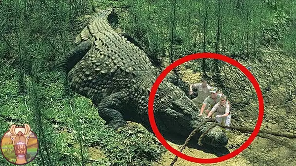 On a trouvé le plus grand crocodile de tous les temps!