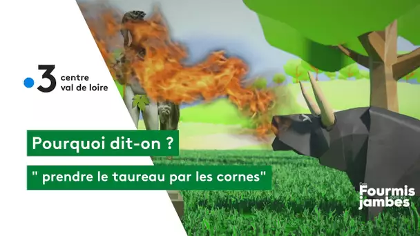Pourquoi dit-on : prendre le taureau par les cornes !