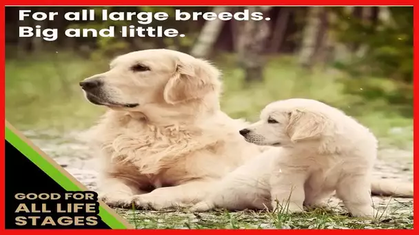 VICTOR Super Premium Dog Food – Elite Canine Dry Dog Food – 25% Protein, Gluten Free - for Large