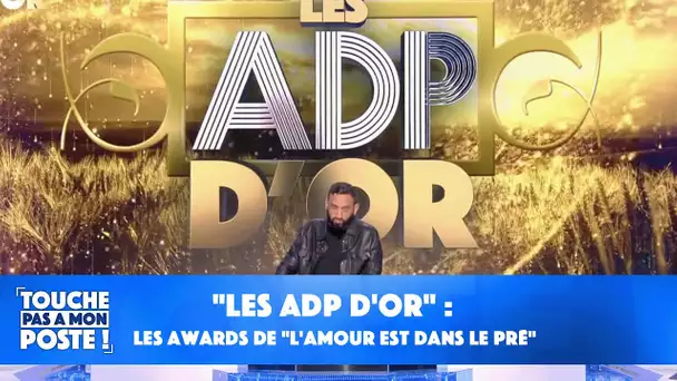"Les ADP d'or" : les awards de "L'amour est dans le pré" !