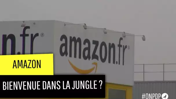 Amazon : comment est-il devenu leader du livre ?