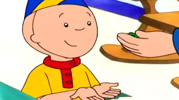 L'anniversaire surprise de Caillou | Caillou en Français